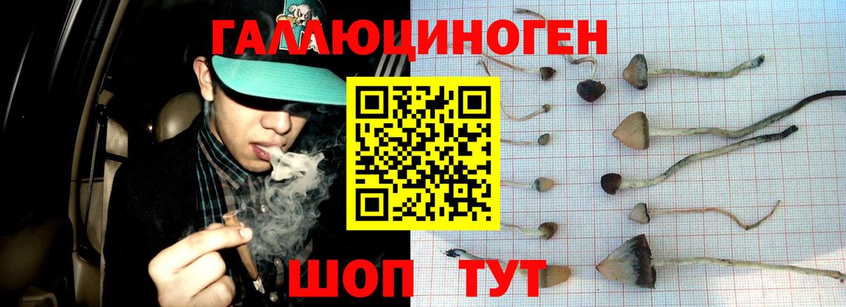 Псилоцибиновые грибы GOLDEN TEACHER  Вход с VPN  Кизилюрт 